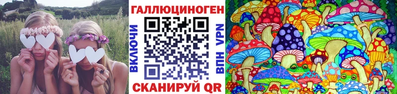 где продают   Абинск  Псилоцибиновые грибы ЛСД 