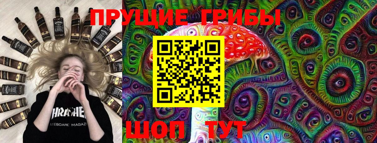 Галлюциногенные грибы Psilocybe Абинск